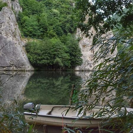 Villa Ribarev San Ovcar Banja Esterno foto