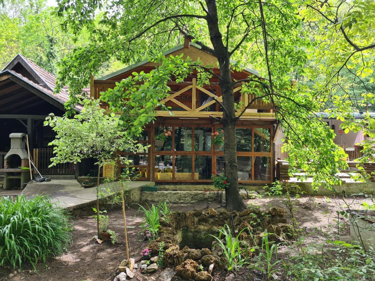 Villa Ribarev San Ovcar Banja Esterno foto