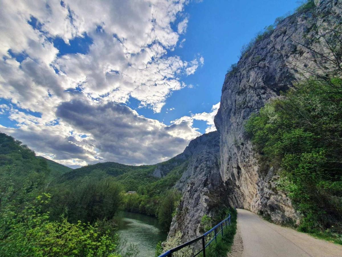 Villa Ribarev San Ovcar Banja Esterno foto